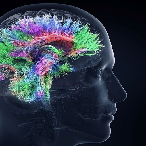 BIOTECH GETS MORE CEREBRAL