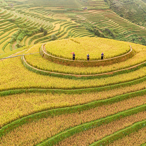 CHANGE AT THE MARGINS FOR PROTERRA ASIA