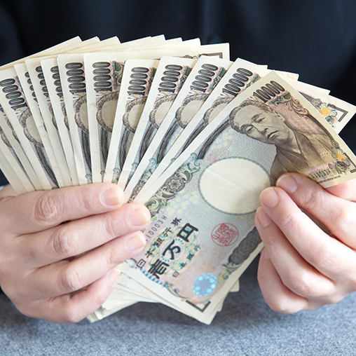 JAPAN FUNDRAISING: REGIONAL BANKS REVISITED