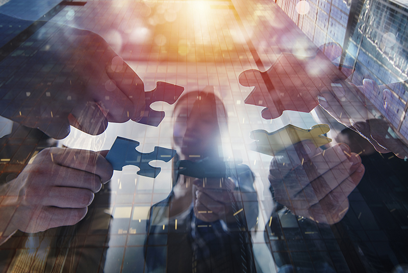 TAKING PE IN-HOUSE: LESS LIMITED PARTNERS