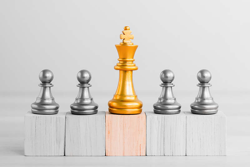 INDONESIA VENTURE: INSTITUTIONAL UPGRADE?