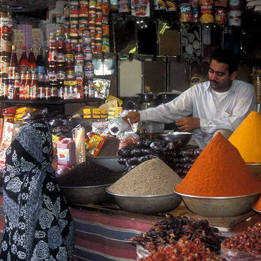PAKISTAN'S DASTGYR ASPIRES TO EMULATE ALIBABA