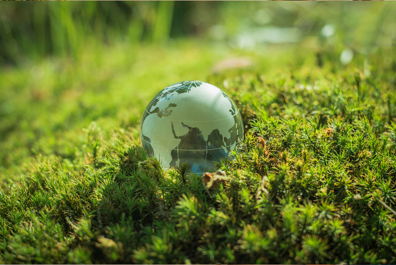 ESG BEST PRACTICE: GLOBAL TO GRANULAR