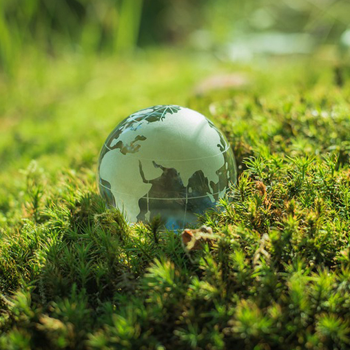 GPs GO BIG ON CHINA BIOSYNTHESIS