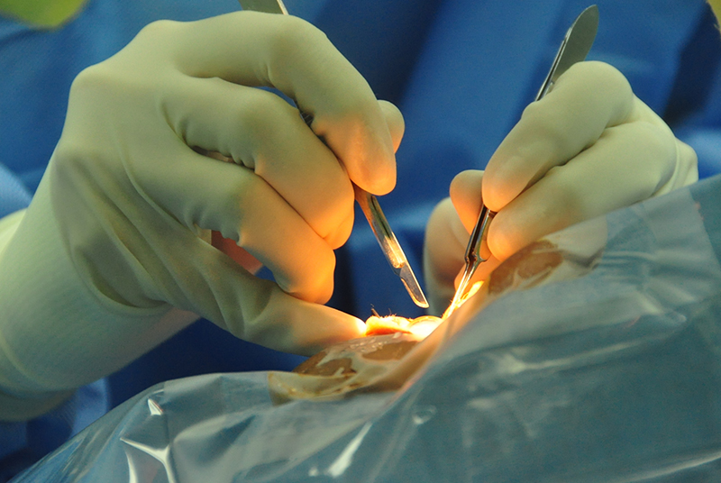 INDIA HEALTHCARE: NEW MOMENTUM, NEW DIRECTION