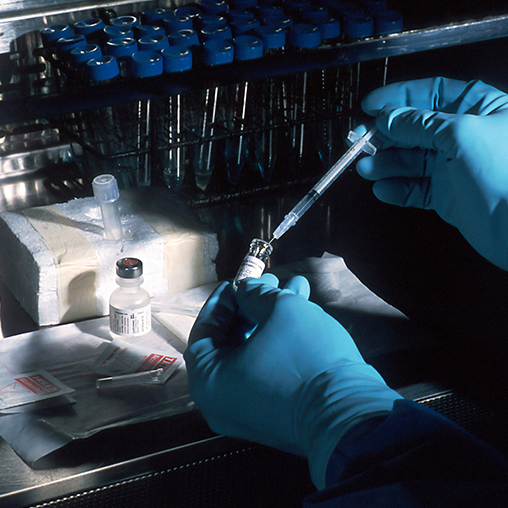 ELEVATION MAKES KOREA HEALTHCARE DEBUT